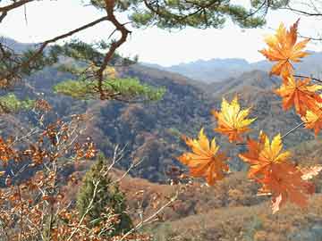 四川文化