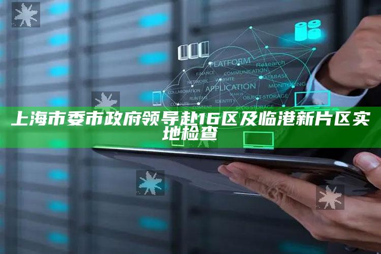 上海市委市政府领导赴16区及临港新片区实地检查_逻辑整理高效输出-最新版v37.9.27.54