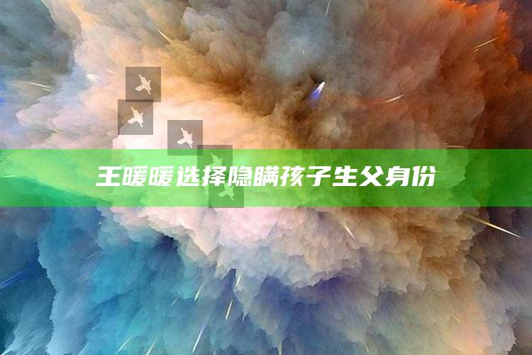 王暖暖选择隐瞒孩子生父身份_数据精准核心解析-精英版v59.64.48.20