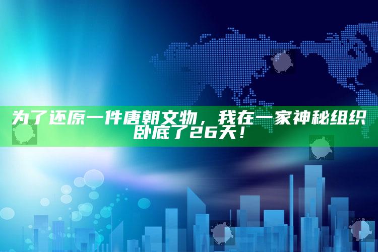 为了还原一件唐朝文物，我在一家神秘组织卧底了26天！_市场动态实时反馈-热搜版v18.17.15.83