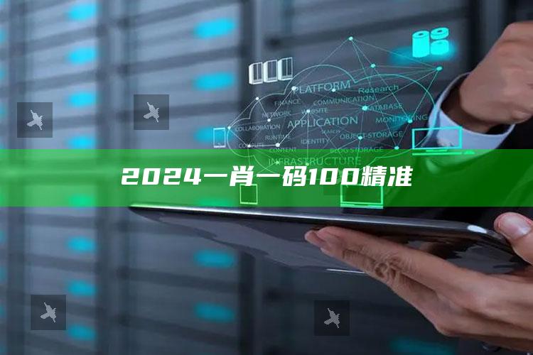 2024一肖一码100精准_数据精准核心解析