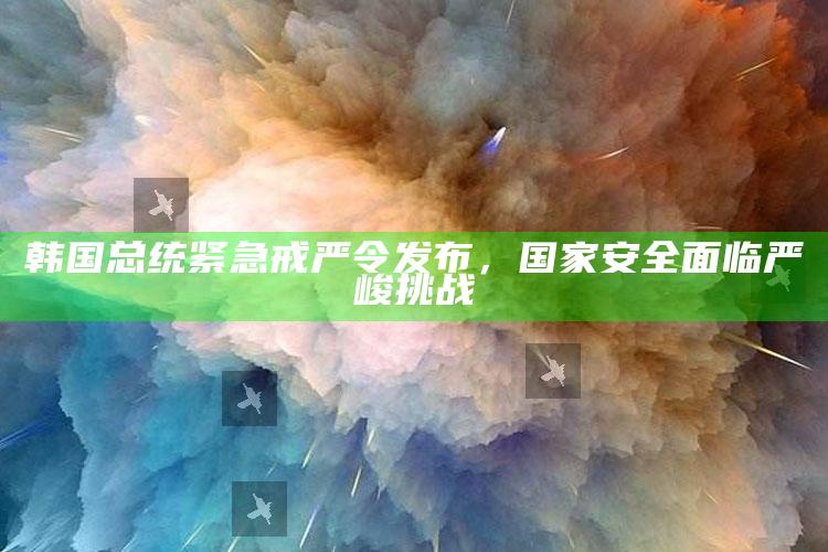 韩国总统紧急戒严令发布，国家安全面临严峻挑战_项目实施全面保障