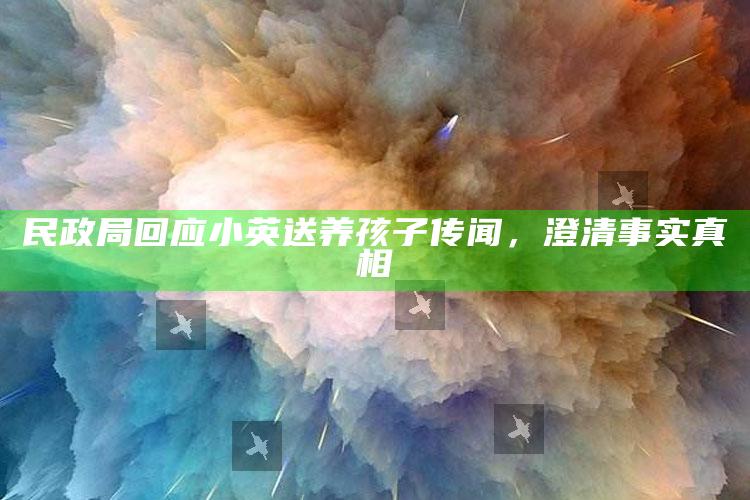 民政局回应小英送养孩子传闻，澄清事实真相_项目实施全面保障-手机版v99.99.65.47