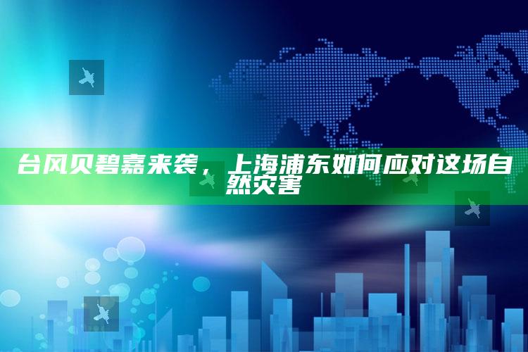 台风贝碧嘉来袭，上海浦东如何应对这场自然灾害_统计模型快速搭建-精英版v68.13.90.27