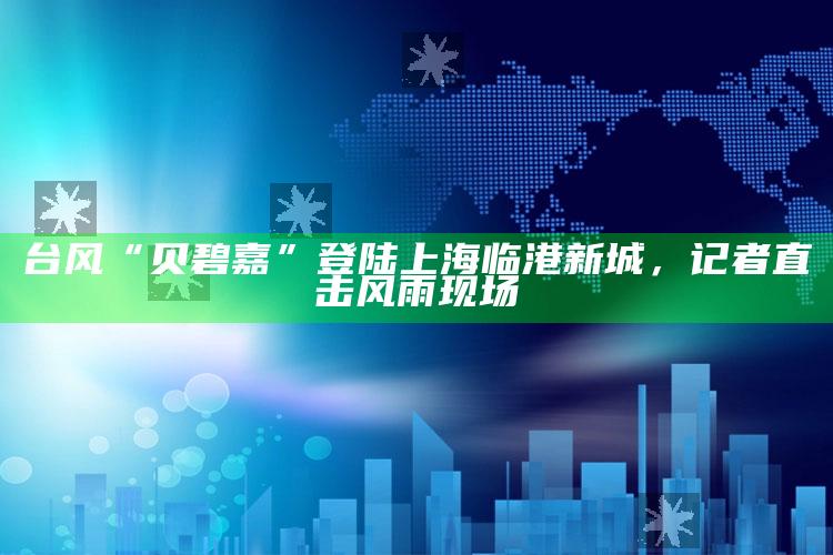 台风“贝碧嘉”登陆上海临港新城，记者直击风雨现场_热门主题核心研究-精英版v96.61.95.44