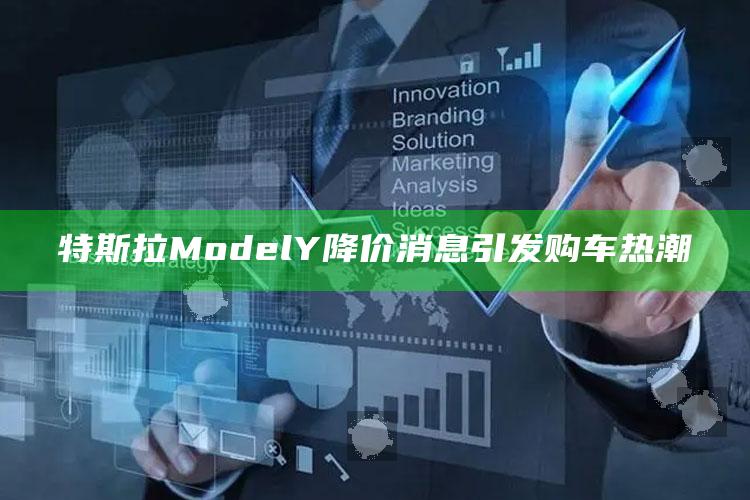 特斯拉Model Y降价消息引发购车热潮_数据管理高效分发-精英版v72.11.20.67