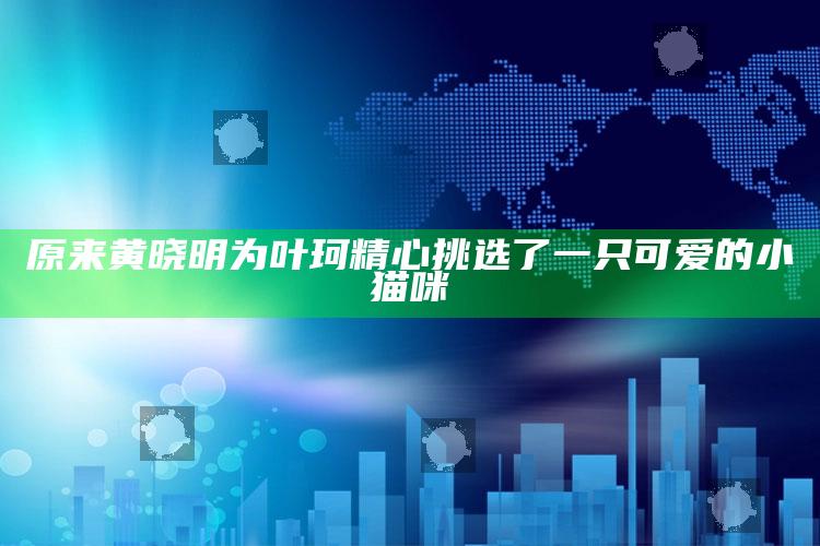 原来黄晓明为叶珂精心挑选了一只可爱的小猫咪_统计模型快速搭建-手机版v28.7.99.93